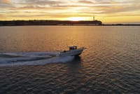 Reef Fishing Experience from Portimao 4