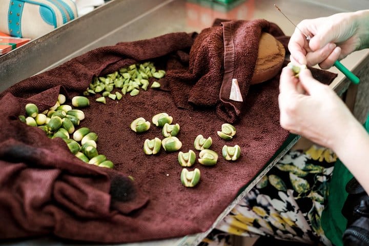 Iconic Taiwanese Food Tour