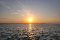 Zanzibar Mnemba Island Dolphin and Snorkeling Tour 8