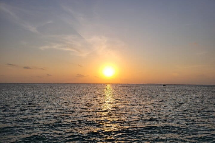 Zanzibar Mnemba Island Dolphin and Snorkeling Tour 8