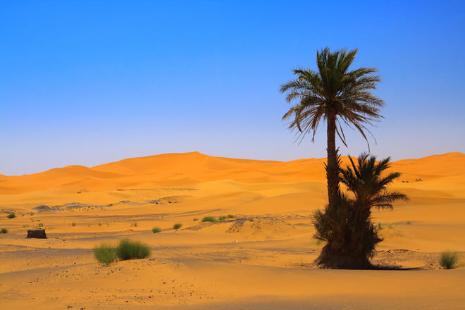 Desert and Fez Tour 3 days  4