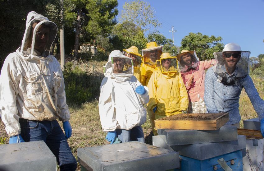 Beekeepers for a day