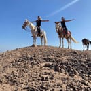Premium 1 Hour Elite Desert Horseback Riding Adventure - Hurghada 10