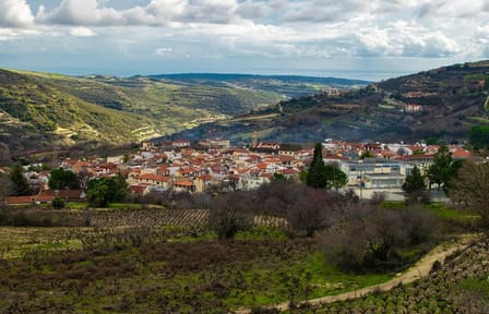 Troodos Mountains Food and Wine Tour from Larnaca