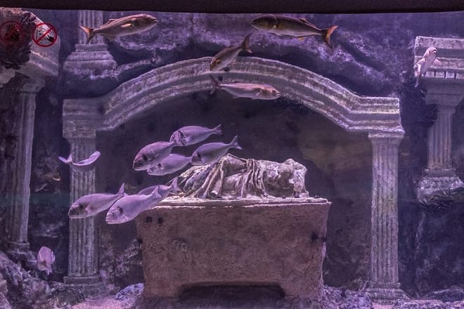 Kemer: Antalya Aquarium Ticket With Optional Transfer 3