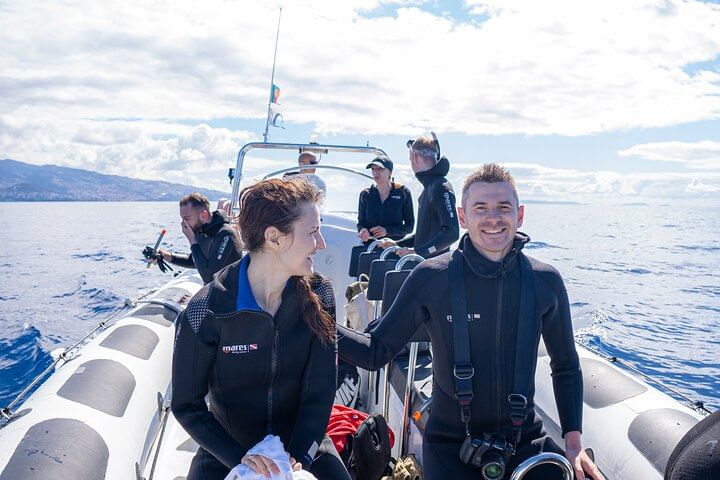 whale dolphins watching tour madeira funchal