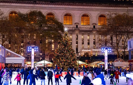Christmas Lights Tour in New York City Dyker Heights