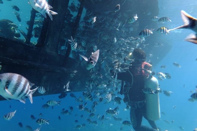 Premium Empire Semi-Submarine, VIP Snorkeling Sea Trip - Hurghada photo 6