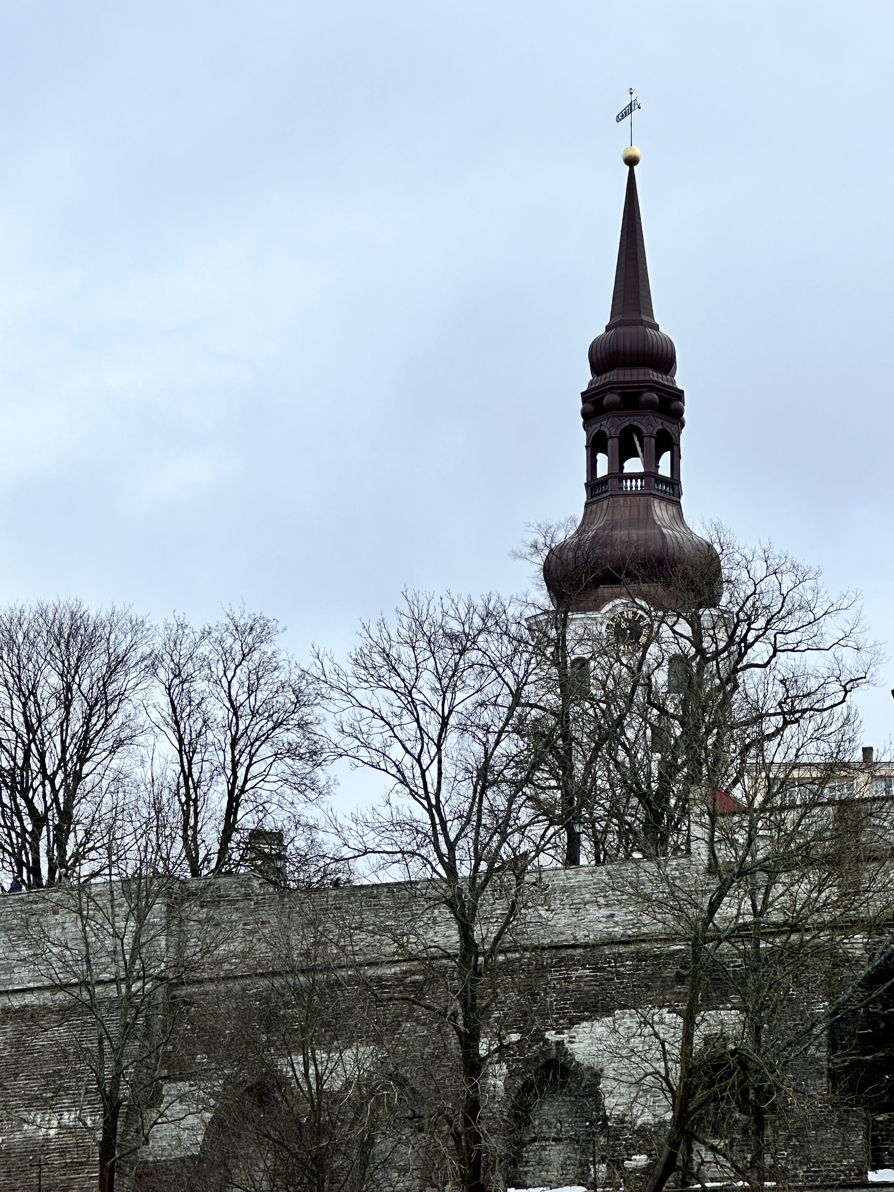 Tallinn: 4 hours private sightseeing tour by walk + VIP Car