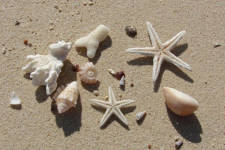 Marsa-Alam Snorkeling day trip Nefertari Cruise