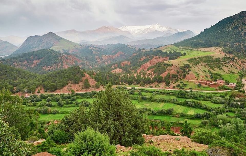 Ourika Valley Atlas Mountains Private Day Trip from Marrakech
