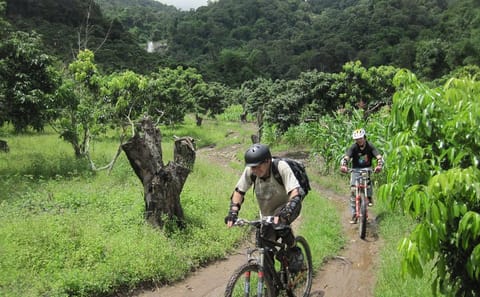 Advanced Downhill Mountain Biking in Doi Suthep National Park, Chiang Mai