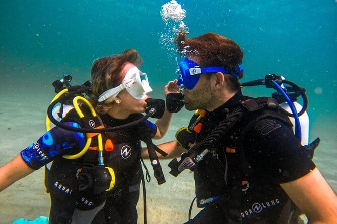 Dubai : Scuba Diving in Arabian Gulf Marine Life