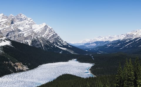 Explore Banff National Park: Emerald and Peyto Lakes Tour