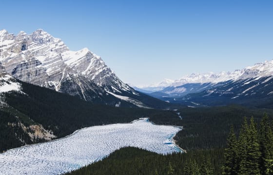 From Banff Lake Louise, Emerald Lake and Peyto Lake