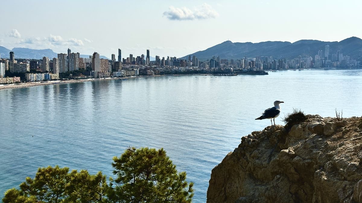 Luxury Transfer Benidorm-Barcelona OR Barcelona-Benidorm