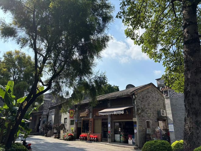 Private Day Tour to Shawan Ancient Town from Guangzhou  3