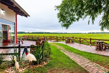 Explore Pantanal Norte: 5-Day Wildlife and Culture Tour