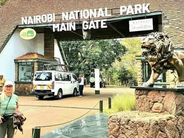 Nairobi National Park Half Day with Pickup