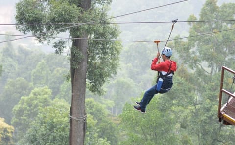 Zipline Adventure and Hot Spring Relaxation in Chiang Mai
