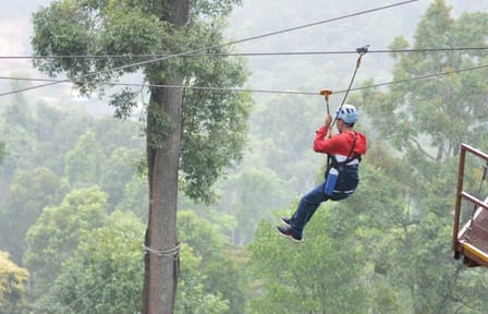 Zipline Adventure and Hot Spring Relaxation in Chiang Mai
