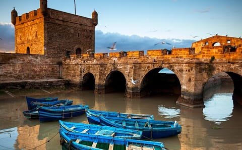 11-Day Adventure Tour from Marrakech to Ait Ben Haddou and Casablanca