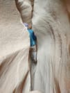 The wonders of Canyons with Camping overnight private from Sharm EL Sheikh 9
