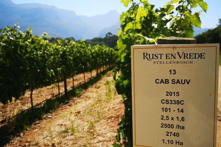 Stellenbosch Vineyard