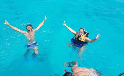Snorkeling and Diving Day Trip to Ozirea Island, Egypt