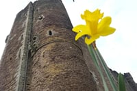 Doune Castle in the Spring
