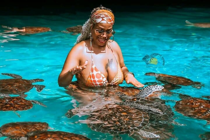 7 Days Zanzibar Holiday with Mikumi National Park Day Trip