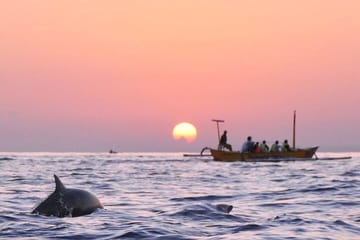 Lovina Dolphin Swim & Snorkel Sunrise with Scenic Viewpoints