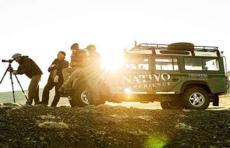 El Calafate Safari Experience