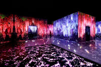 Dubai Arte Museum: The Soul of Modern Art 6