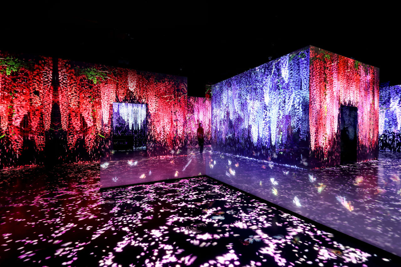 Dubai Arte Museum: The Soul of Modern Art 6