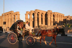 Luxor Horse Carriage City Tour