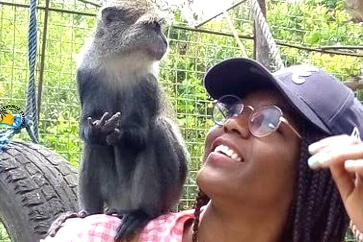 Mnemba Island Dolphins Watching and Snorkeling