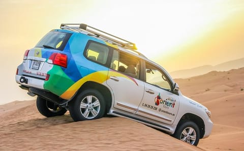 Private 4x4 Morning Desert Adventure in Dubai with Wildlife and Sandboarding