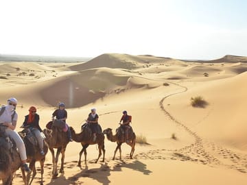 Camel ride