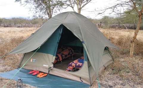 6-Day Camping Safari and Wildlife Tour in Tanzania from Arusha