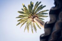 Full-Day Private Tour of Nice Cannes Antibes and Saint Tropez  7