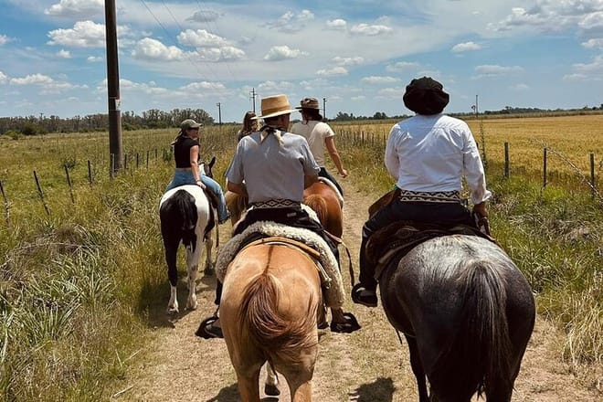 Horseback Riding Experience in Carlos Keen 7