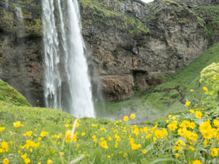 Seljalandsfoss Waterfall in summer