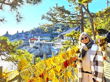 Private Minibus Tour of Busan for Cruise Ship Guests