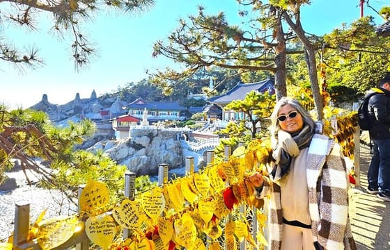 Private Minibus Tour in Busan for Cruise Ship Guests 8-15 People