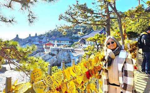 Private Minibus Tour of Busan for Cruise Ship Guests