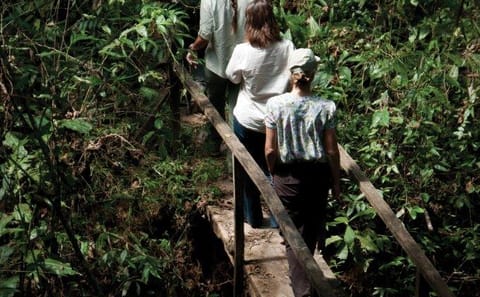 Amazon Rainforest Adventure Tour in Puerto Maldonado, Peru