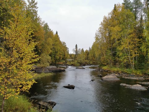 Hiking tour to Vaattunkiköngäs