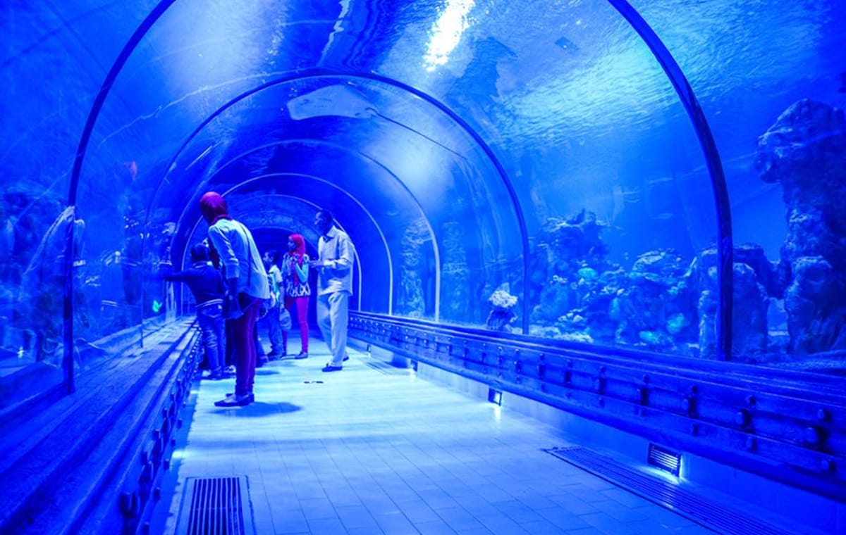 Get the Best Hurghada Grand Aquarium Tickets