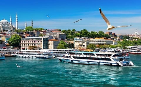 Istanbul Bosphorus Sunset Cruise Tour (Guided)